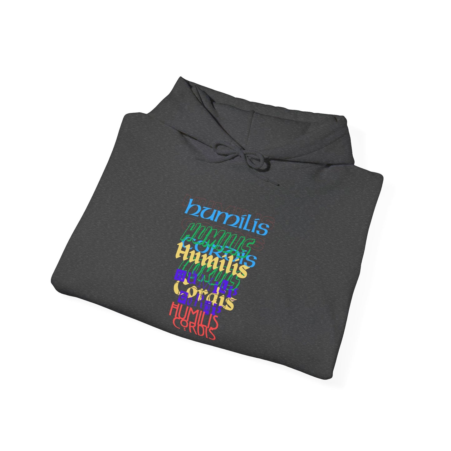 HC-“HC Effect” Hoodie