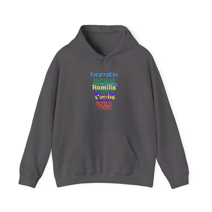 HC-“HC Effect” Hoodie
