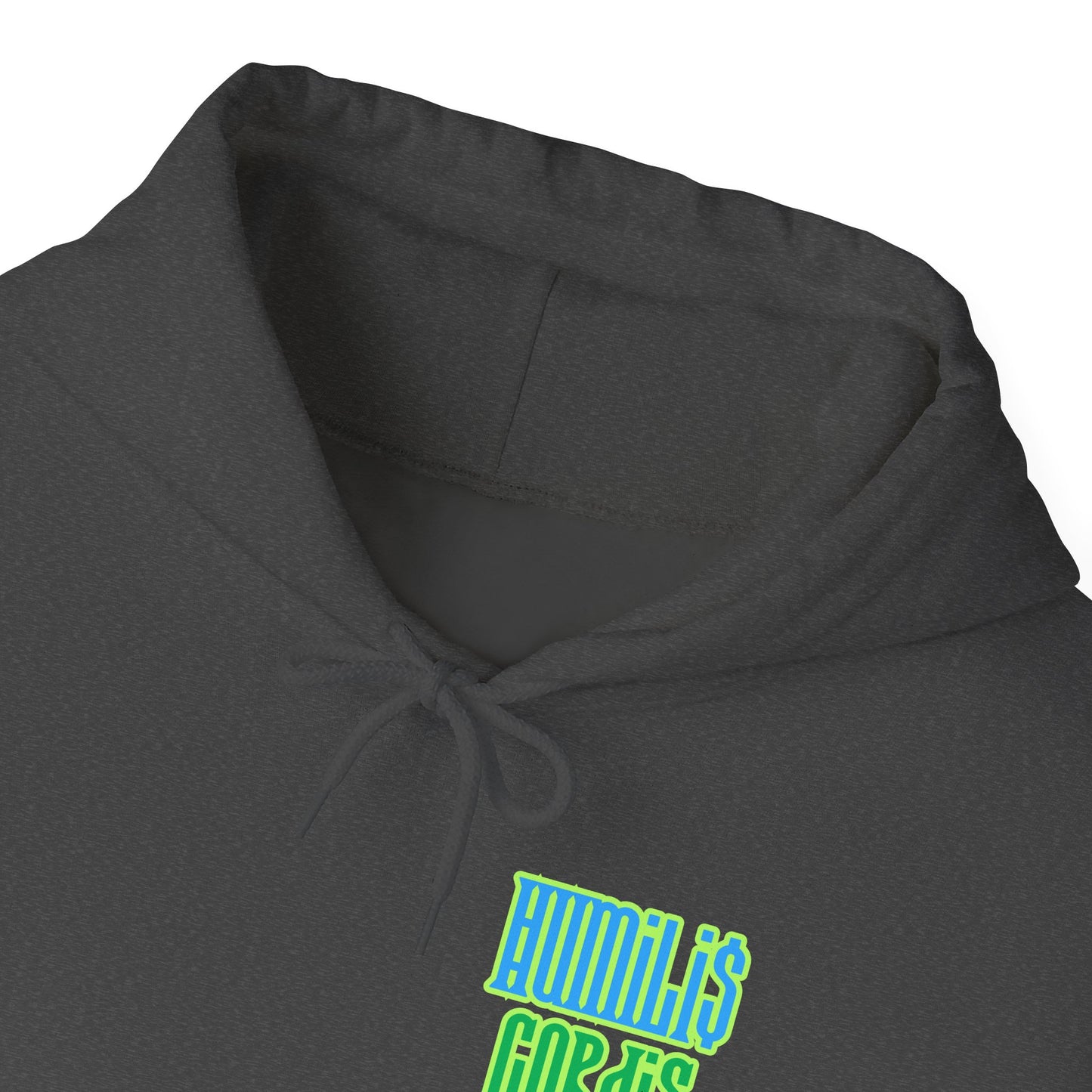HC- “Amare” Hoodie