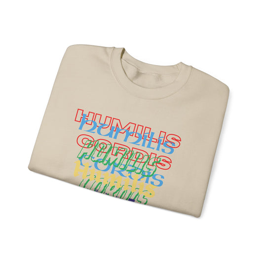 HC- “HC Effect” Sweatshirt