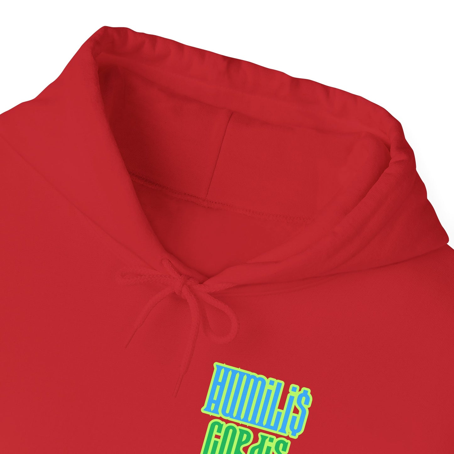 HC- “Amare” Hoodie