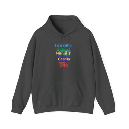 HC-“HC Effect” Hoodie
