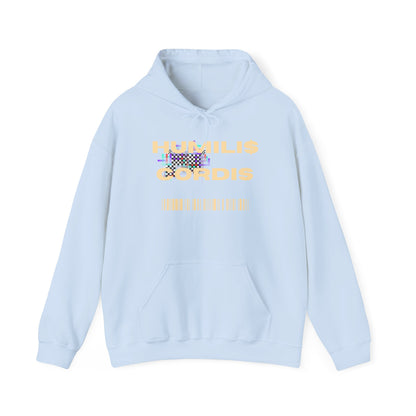 HC- "Matrix Glitch"  Hoodie