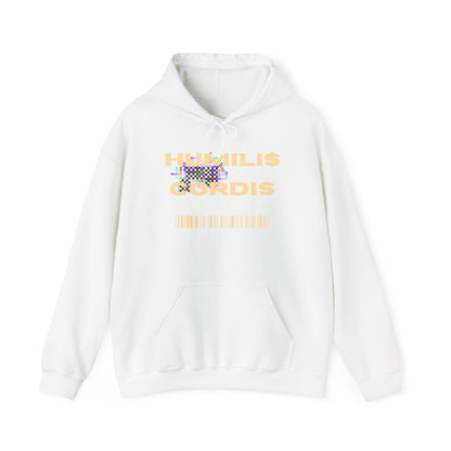 HC- "Matrix Glitch"  Hoodie